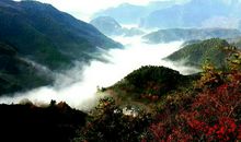 高考作文辅导109：在托举彼此的生命中成长