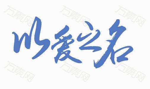 以爱之名_1000字