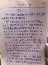 变形记作文六年级350字