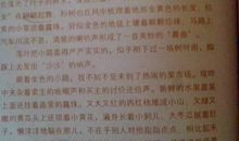 第一场雪 下雪了作文300字