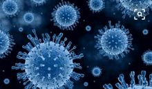 一个病毒的入侵史 新冠病毒的自述作文700字