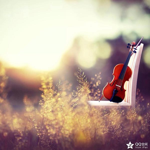 【创意作文】立新小学五年四班优秀作文展示（三）那一刻，我长大了 3