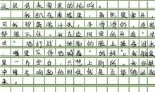 变形记作文想象作文六年级500字