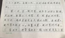插上科学的翅膀飞600字六年级作文