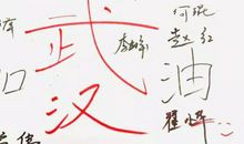 最美逆行者 谁是最可爱的人作文600字