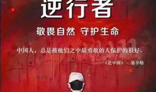 致最美的逆行者 武汉加油，中国加油作文500字