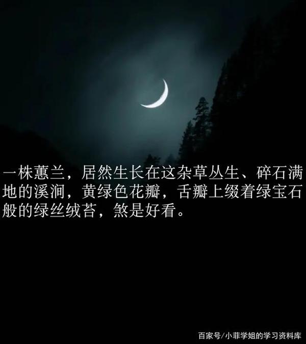 作文素材:超惊艳的写景句子,值得收藏学习 1