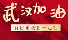 不同寻常的“年” 为武汉加油作文800字