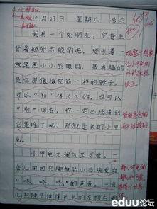 第一次动手做饭-小学写事作文600字