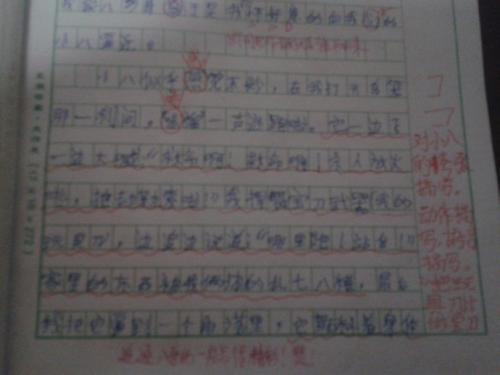种鸡蛋-童年趣事作文400字