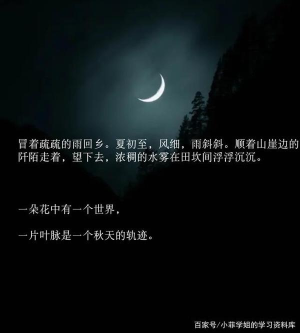 作文素材:超惊艳的写景句子,值得收藏学习 2