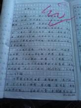 青春的另一面 以青春为话题的作文700字