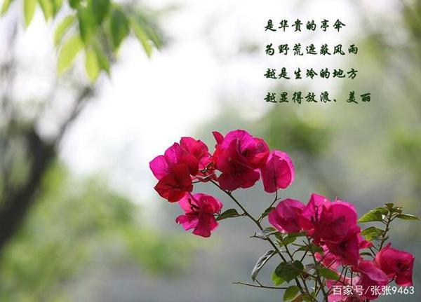 “作文讲评”中的门道与学问探析
