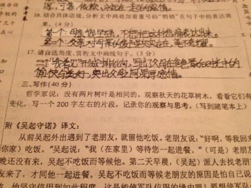 永远别害怕新的尝试 写事的作文1000字