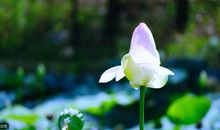 原创 高考优秀作文：《很开心你终于来了》