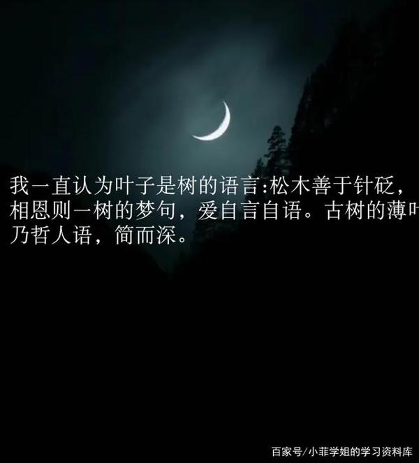 作文素材:超惊艳的写景句子,值得收藏学习 3