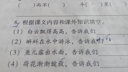 遇见-美丽的遇见作文550字