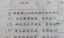 遇见-美丽的遇见作文550字