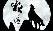 原创 【狼道】读后感之“在逆境中学会生存”，处在逆境的你可以看看