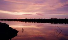 写景作文：迷人的牡丹湖