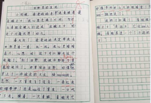 帮爸妈洗衣服的作文