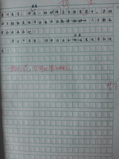 快乐的五一-写事的作文300字