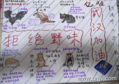2020年武汉加油的手抄报图片