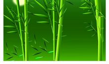 红墙碧叶伴我行-优秀记叙文600字