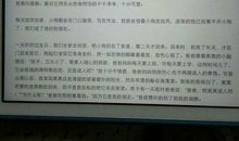 描写动物的优美段落_1000字