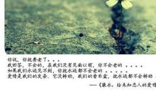 短信祝福素材：很感人的爱情祝福短信_1200字