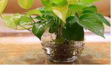 作文展 ▏全国小学生优秀作文展