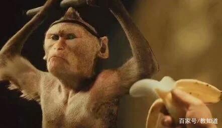 原创另类搞笑学生作文《我和孙悟空的一天》，孙悟空惨成大反派 7