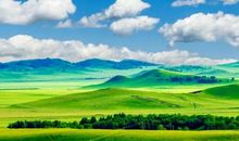 《关照自己——动力沟通理论与实践》读后感