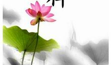 写作素材：有关人生哲理的诗句_1000字