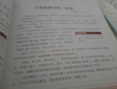小升初作文指导：有关状物作文指导_1200字