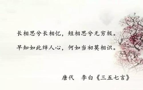 短信祝福素材：常相思 长相思，梦难忆 爱难忆_1000字