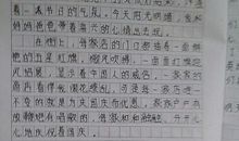 描写国庆节小学作文