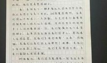 我心中的太阳作文500字