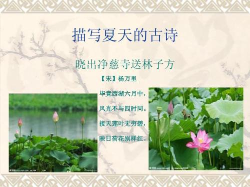 关于夏天优美的句子_1500字