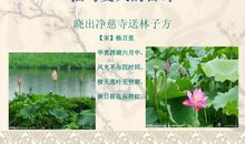 关于夏天优美的句子_1500字