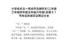 步行街见闻-五一劳动节作文400字