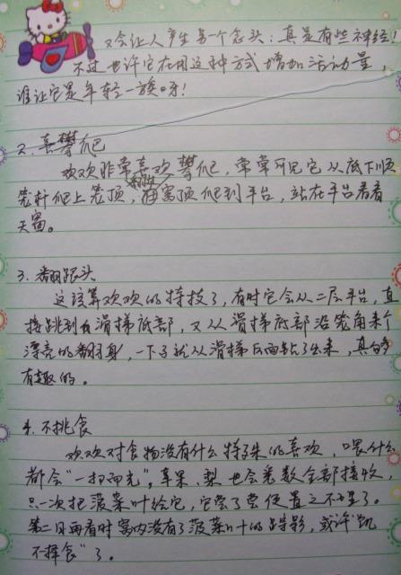 小狗观察日记7则