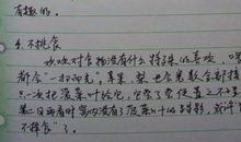 小狗观察日记7则