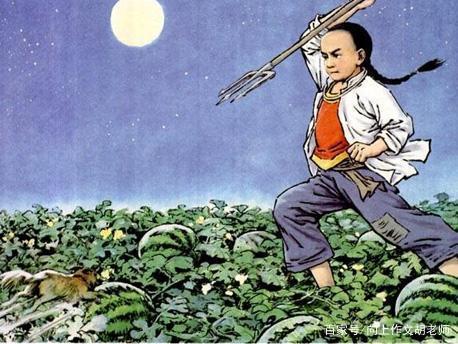 作文如何开头之形象刻画法