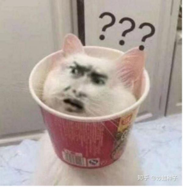 孩子作文：我的妈妈是一个多余的中年妇女？! 1