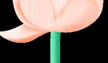 佳韵优秀课堂作文选登