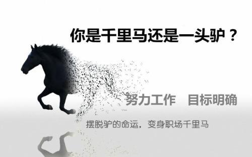 哲理故事素材：被埋没的千里马_450字