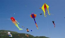 作文欣赏：星期天，我和弟弟一起到野外放风筝