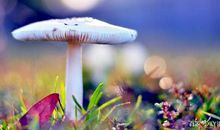 人为什么要工作？稻盛和夫《干法》读后感