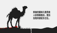 哲理故事素材：坏脾气有多伤人_450字